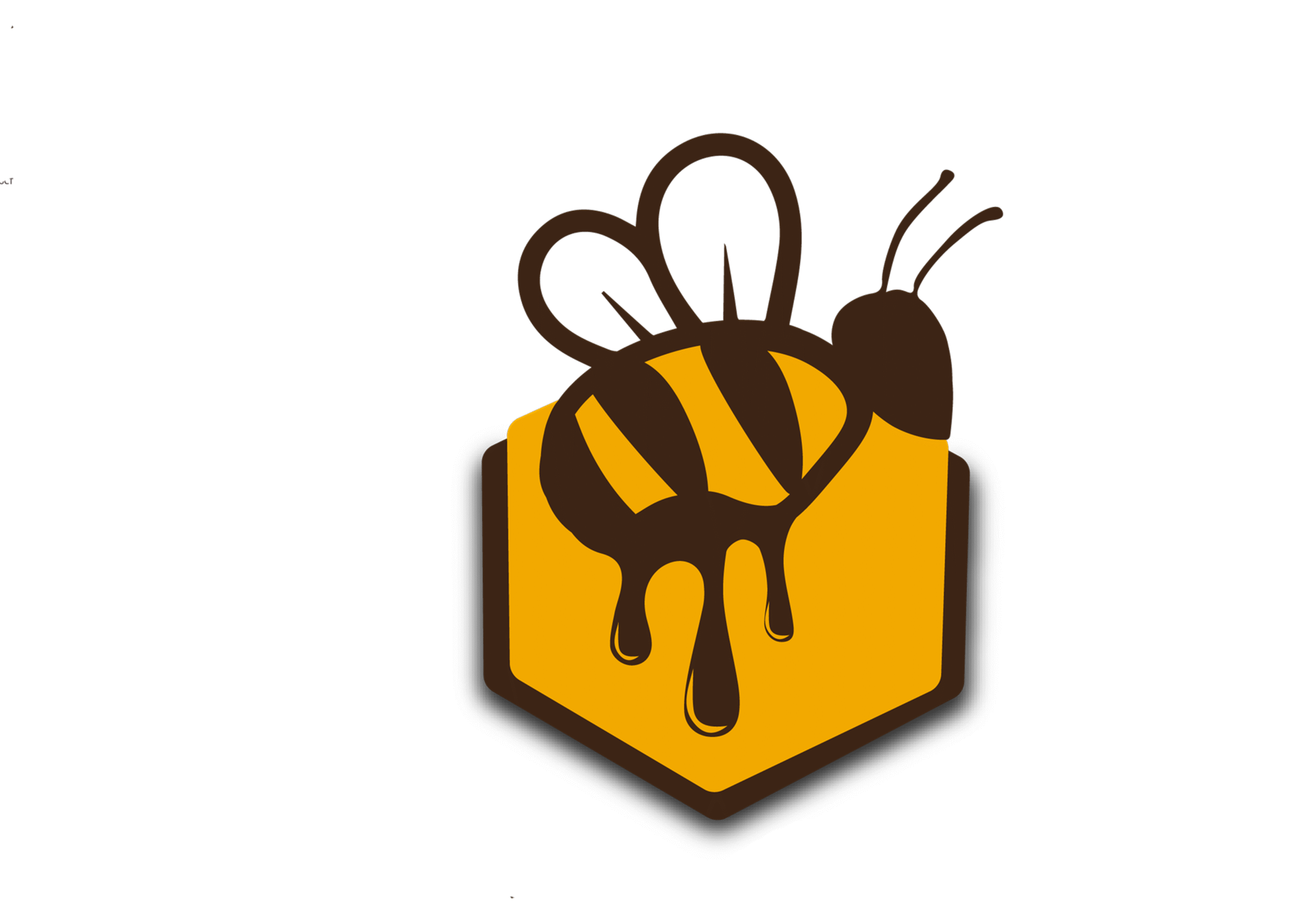 پیر ایرانی