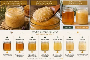 مقایسه عسل روان و عسل شکرک زده طبیعی