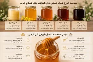 مقایسه انواع عسل طبیعی برای انتخاب بهتر هنگام خرید
